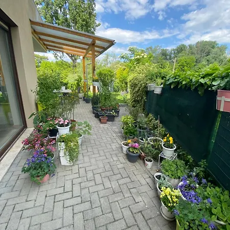 Korzo Terasz * Szentendre